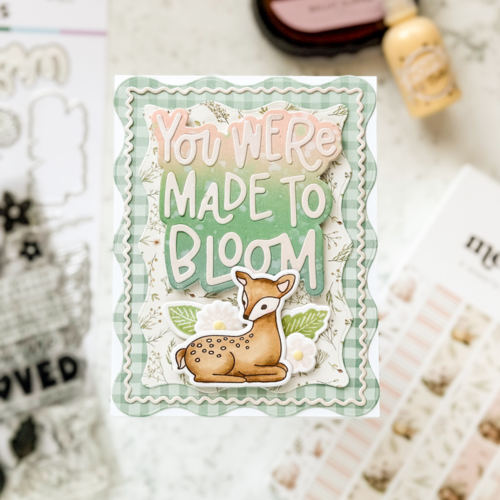 Scrapbook.com - Decorative Die Set - Made to Bloom