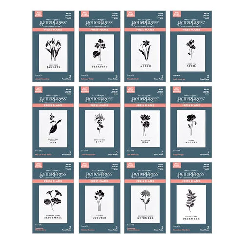 Spellbinders - BetterPress Collection - Press Plates - Florals Through The Year - Full Year Bundle 1 Spellbinders - BetterPress Collection - Press Plates - Florals Through The Year - Full Year Bundle