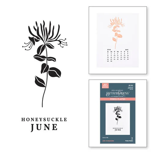 Spellbinders - BetterPress Collection - Press Plates - Florals Through The Year - June - Honeysuckle 1 Spellbinders - BetterPress Collection - Press Plates - Florals Through The Year - June - Honeysuckle