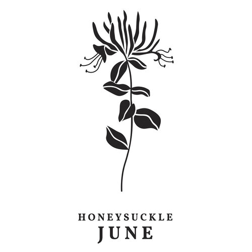 Spellbinders - BetterPress Collection - Press Plates - Florals Through The Year - June - Honeysuckle 3 Spellbinders - BetterPress Collection - Press Plates - Florals Through The Year - June - Honeysuckle