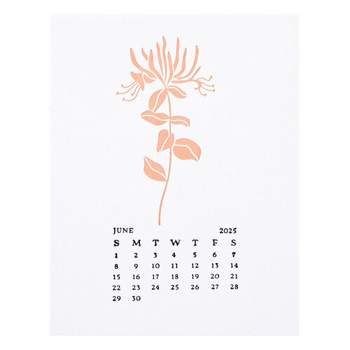 Spellbinders - BetterPress Collection - Press Plates - Florals Through The Year - June - Honeysuckle 4 Spellbinders - BetterPress Collection - Press Plates - Florals Through The Year - June - Honeysuckle