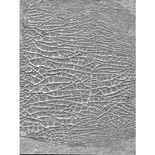 Ranger Ink - Tim Holtz - Distress Texture Paste - 3 Ounces - Crackle - Translucent
