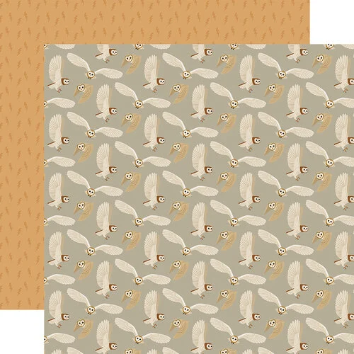 Echo Park - Witches and Wizards Collection - 12 x 12 Double Sided Paper - Owls 1 Echo Park - Witches and Wizards Collection - 12 x 12 Double Sided Paper - Owls