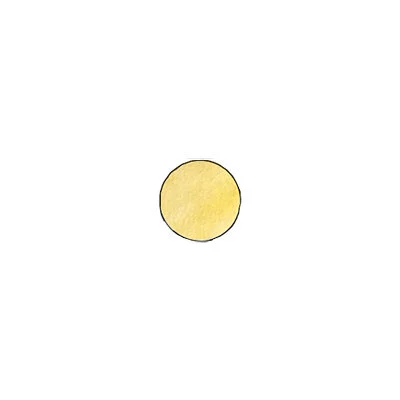 Ranger Ink - Basics Embossing Powder - Super Fine - Gold