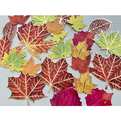 Paper House Productions - Die Cut Sticker Pack - Fall Leaves