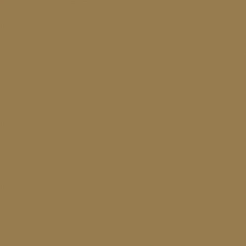 Echo Park - Graduation Collection - 12 x 12 Double Sided Paper - Tan
