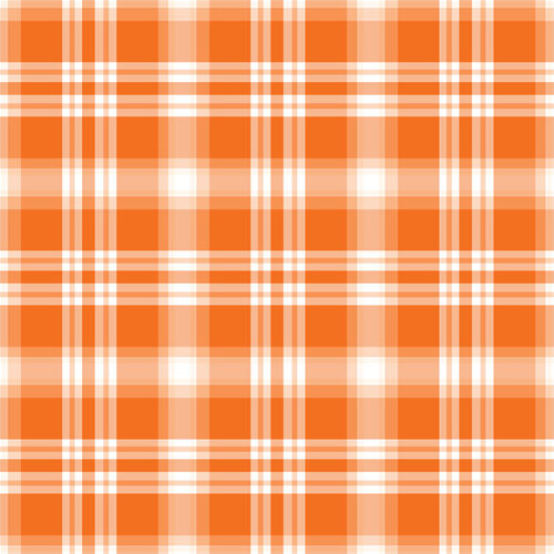 Scrapbook Customs - 6 x 6 Paper Pack - Rainbow Plaid 12 Scrapbook Customs - 6 x 6 Paper Pack - Rainbow Plaid