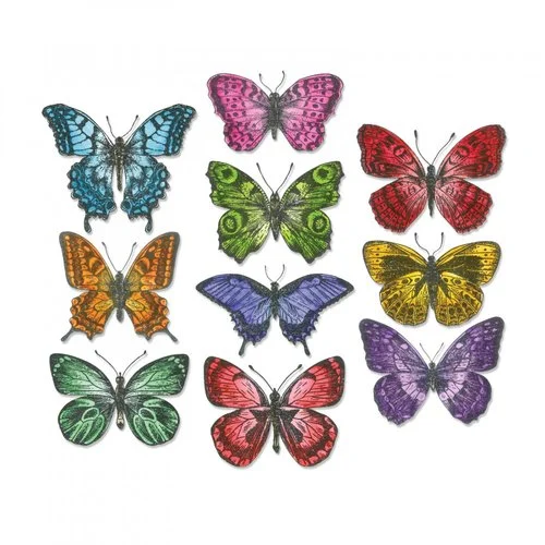 Sizzix - Tim Holtz - Alterations Collection - Framelits Dies - Flutter 1 Sizzix - Tim Holtz - Alterations Collection - Framelits Dies - Flutter