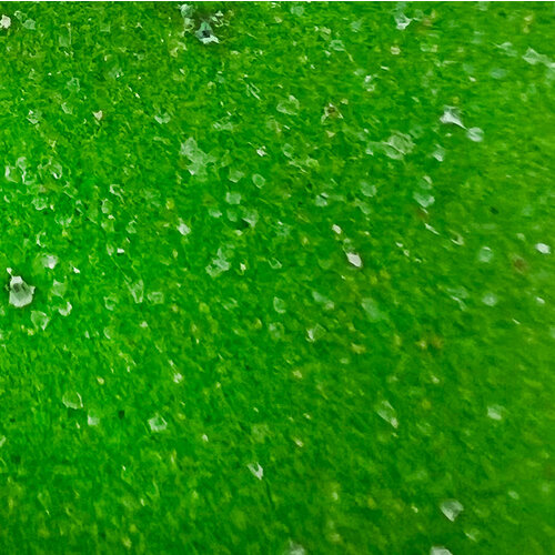 Pink and Main - Embossing Powder - Grass Green 2 Pink and Main - Embossing Powder - Grass Green
