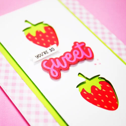Scrapbook.com - Berry Sweet Bundle - Dies, Stamps, Paper
