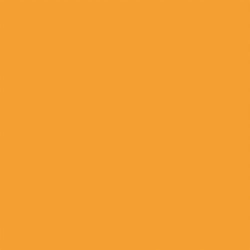 Echo Park - Dino-Mite Collection - 12 x 12 Double Sided Paper - Orange 2 Echo Park - Dino-Mite Collection - 12 x 12 Double Sided Paper - Orange