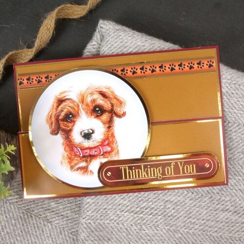 Hunkydory - Card Topper Sheet - Dog Years 3 Hunkydory - Card Topper Sheet - Dog Years
