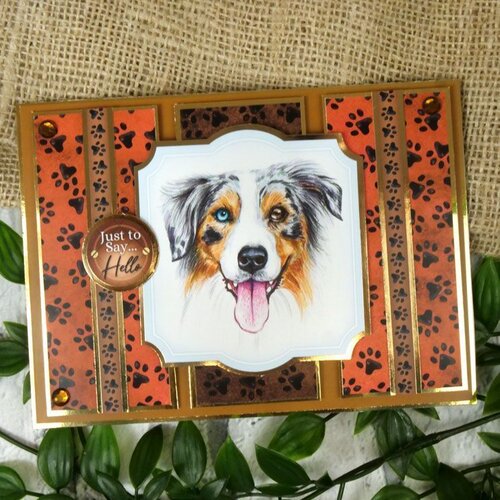 Hunkydory - Card Topper Sheet - You're Pawsome