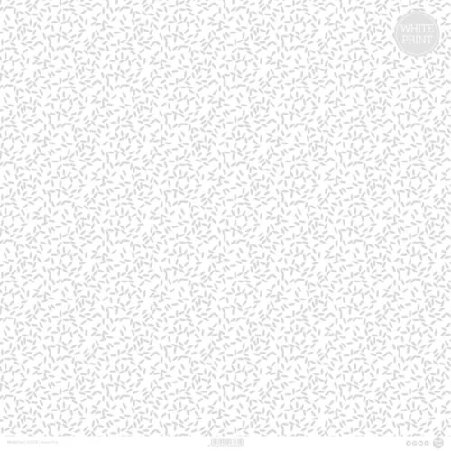 ModaScrap - 12 x 12 Specialty Paper - Acetate - Rice