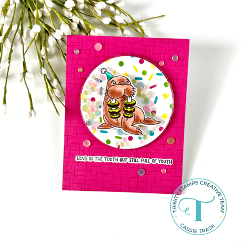 Trinity Stamps - Flat Shaker Pouches - Circle - 3.25 x 3.25 2 Trinity Stamps - Flat Shaker Pouches - Circle - 3.25 x 3.25