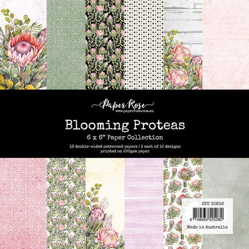 Paper Rose - 6 x 6 Collection Pack - Blooming Proteas 1 Paper Rose - 6 x 6 Collection Pack - Blooming Proteas