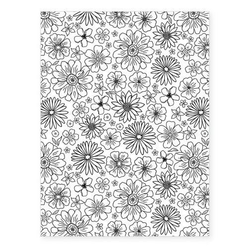 Scrapbook.com - Flower Garden - Rub-On Transfers - Black and White - 6x8 - 2 Sheets