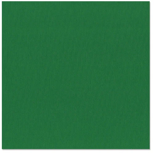 Bazzill Basics - 12 x 12 Cardstock - Canvas Texture - Mono - Green