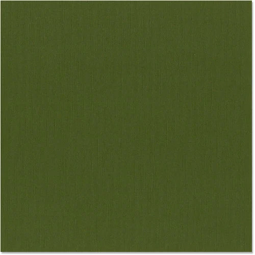 Bazzill Basics - 12 x 12 Cardstock - Canvas Texture - Mono - Ivy