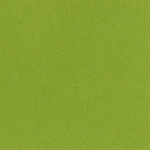 Bazzill Basics - 12 x 12 Double Sided Cardstock - Easter Grass