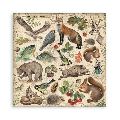 Stamperia - Forest Collection - 12 x 12 Paper Pad 12 Stamperia - Forest Collection - 12 x 12 Paper Pad