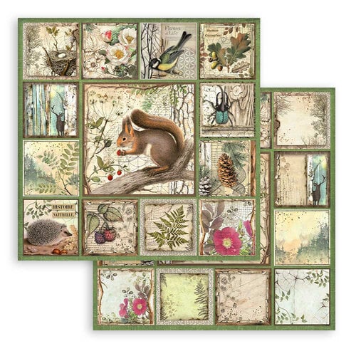 Stamperia - Forest Collection - 12 x 12 Paper Pad 2 Stamperia - Forest Collection - 12 x 12 Paper Pad