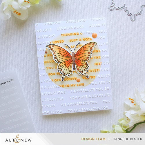 Altenew - Embossing Folder - 3D - Raised Sentiments 2 Altenew - Embossing Folder - 3D - Raised Sentiments