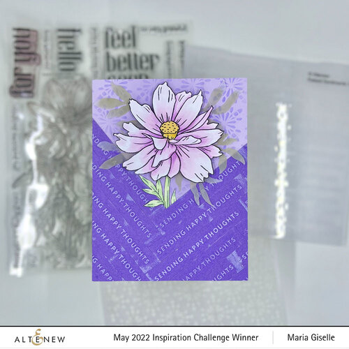 Altenew - Embossing Folder - 3D - Raised Sentiments 5 Altenew - Embossing Folder - 3D - Raised Sentiments